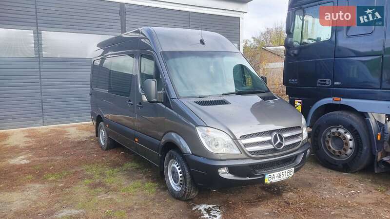 Грузопассажирский фургон Mercedes-Benz Sprinter 2007 в Смеле