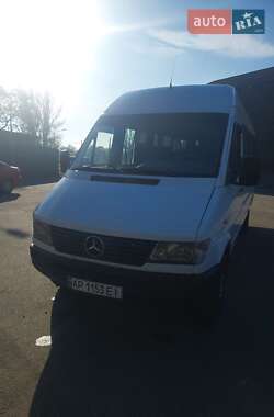 Микроавтобус Mercedes-Benz Sprinter 1996 в Запорожье