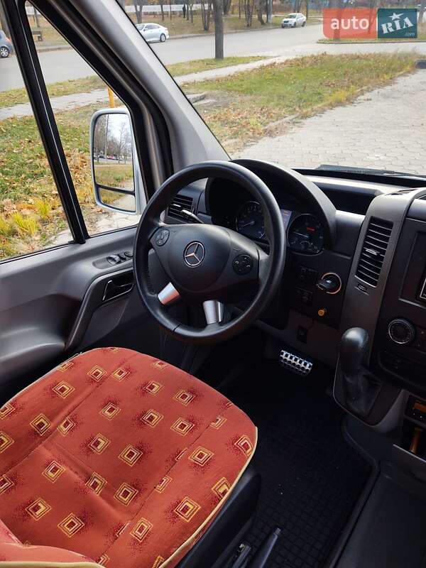 Другие автобусы Mercedes-Benz Sprinter 2010 в Днепре