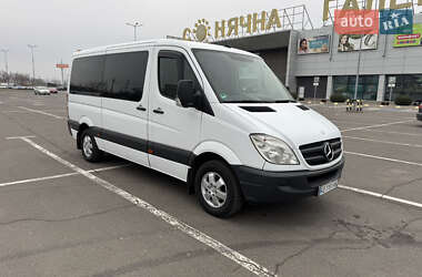 Микроавтобус Mercedes-Benz Sprinter 2008 в Кривом Роге