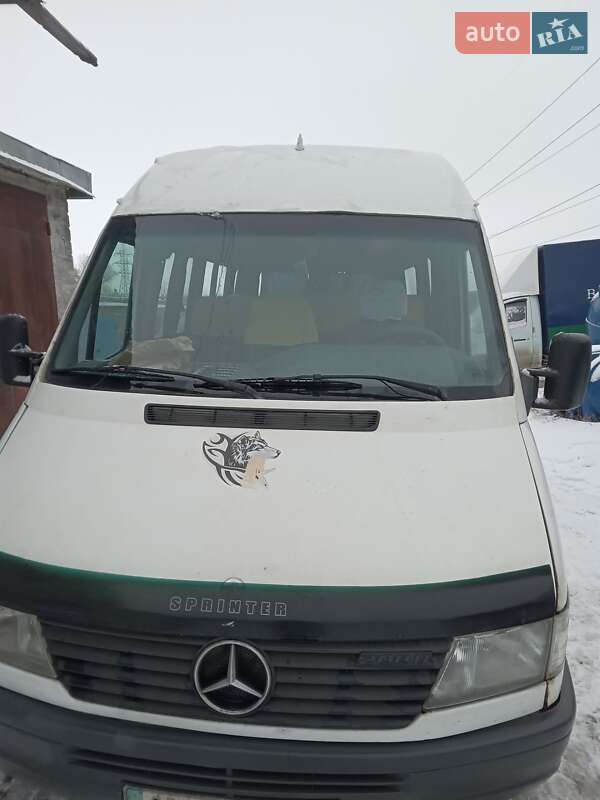 Микроавтобус Mercedes-Benz Sprinter 1996 в Харькове