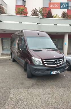 Грузопассажирский фургон Mercedes-Benz Sprinter 2009 в Черновцах