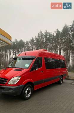 Микроавтобус Mercedes-Benz Sprinter 2010 в 