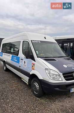 Микроавтобус Mercedes-Benz Sprinter 2013 в 