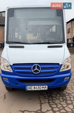 Городской автобус Mercedes-Benz Sprinter 2013 в Кривом Роге