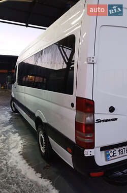 Грузопассажирский фургон Mercedes-Benz Sprinter 2010 в Черновцах