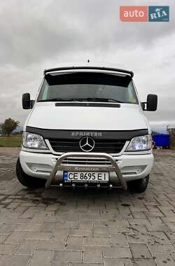 Микроавтобус Mercedes-Benz Sprinter 2004 в Сторожинце