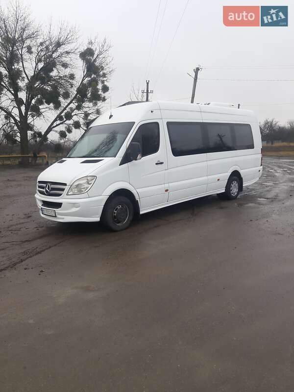 Мікроавтобус Mercedes-Benz Sprinter 2011 в Полтаві