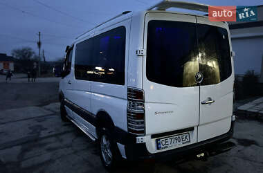 Микроавтобус Mercedes-Benz Sprinter 2009 в Новой Ушице