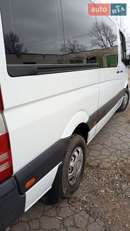 Мікроавтобус Mercedes-Benz Sprinter 2013 в Кривому Озері