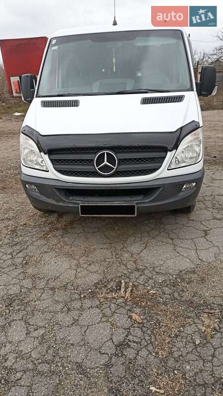 Мікроавтобус Mercedes-Benz Sprinter 2013 в Кривому Озері