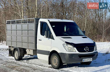 Для перевезення тварин Mercedes-Benz Sprinter 2006 в Хмельницькому