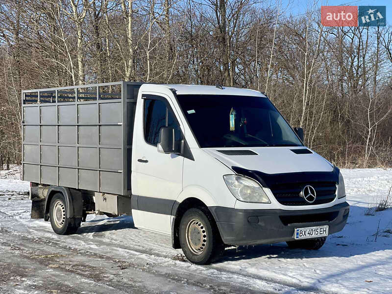 Для перевозки животных Mercedes-Benz Sprinter 2006 в Хмельницком