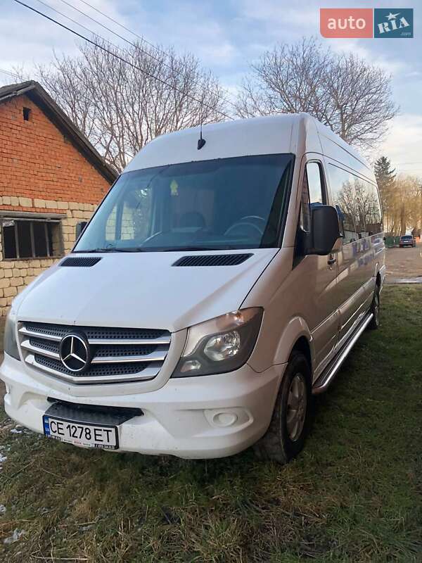 Мікроавтобус Mercedes-Benz Sprinter 2009 в Чернівцях