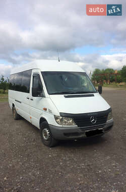 Микроавтобус Mercedes-Benz Sprinter 2001 в Черновцах