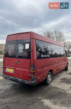 Микроавтобус Mercedes-Benz Sprinter 2002 в Днепре