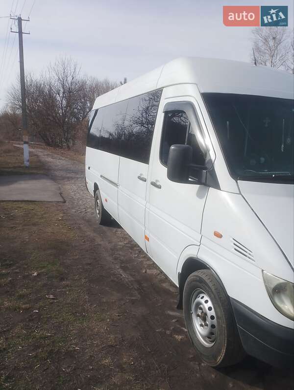 Микроавтобус Mercedes-Benz Sprinter 2000 в Шполе