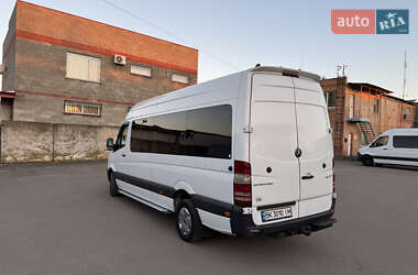 Микроавтобус Mercedes-Benz Sprinter 2017 в Березному