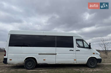 Микроавтобус Mercedes-Benz Sprinter 2002 в 