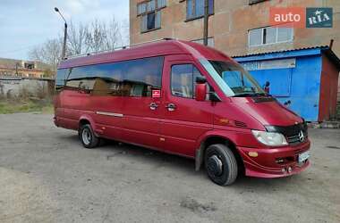 Мікроавтобус Mercedes-Benz Sprinter 2004 в 