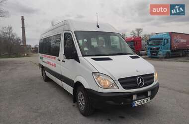 Микроавтобус Mercedes-Benz Sprinter 2010 в 