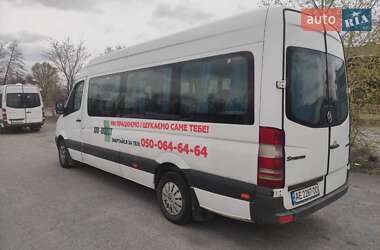 Микроавтобус Mercedes-Benz Sprinter 2010 в 