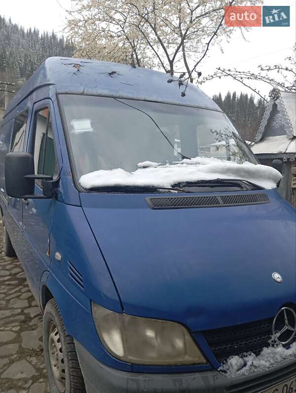 Микроавтобус Mercedes-Benz Sprinter 2004 в Верховине