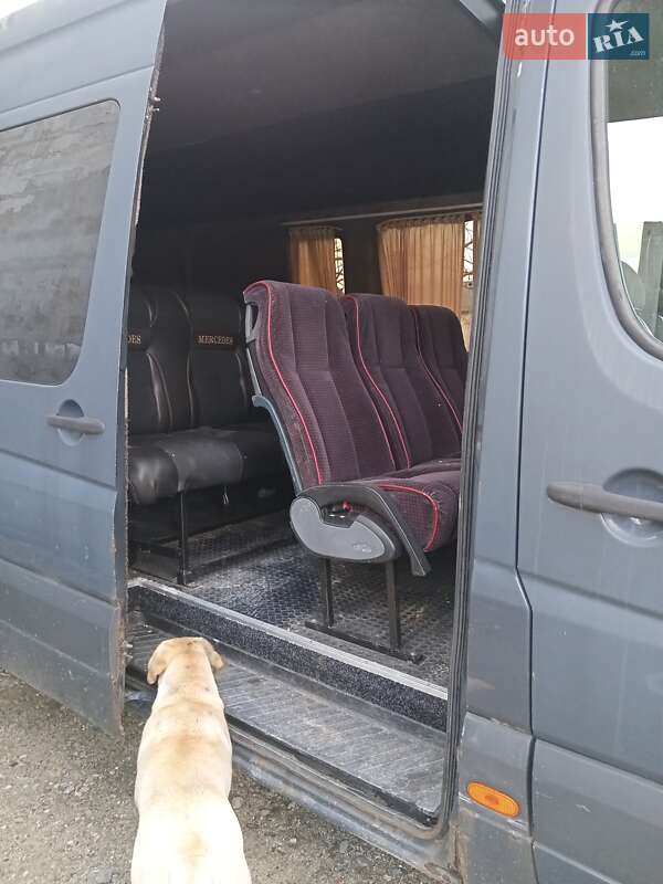 Микроавтобус Mercedes-Benz Sprinter 2009 в Межгорье