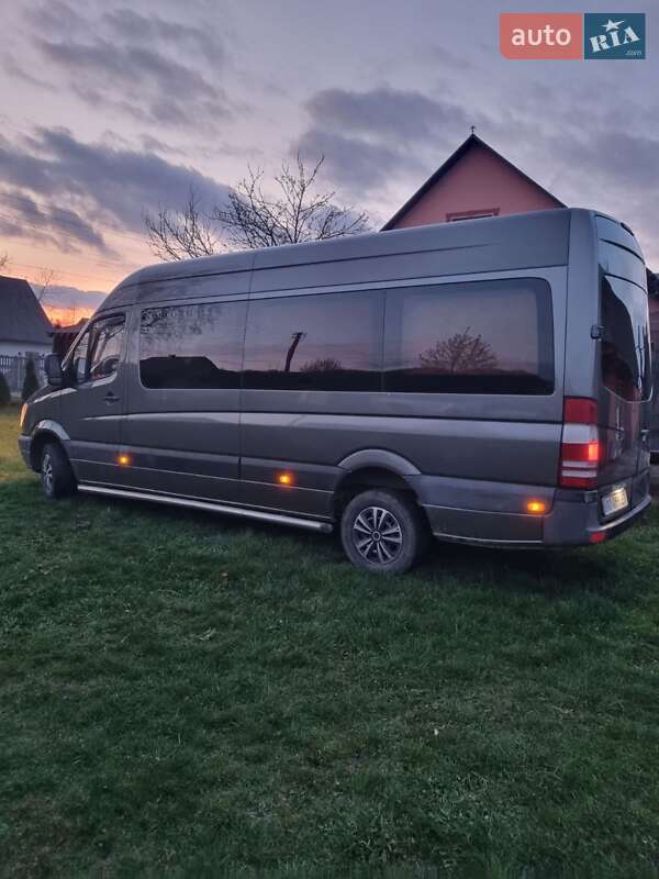 Микроавтобус Mercedes-Benz Sprinter 2010 в Хусте