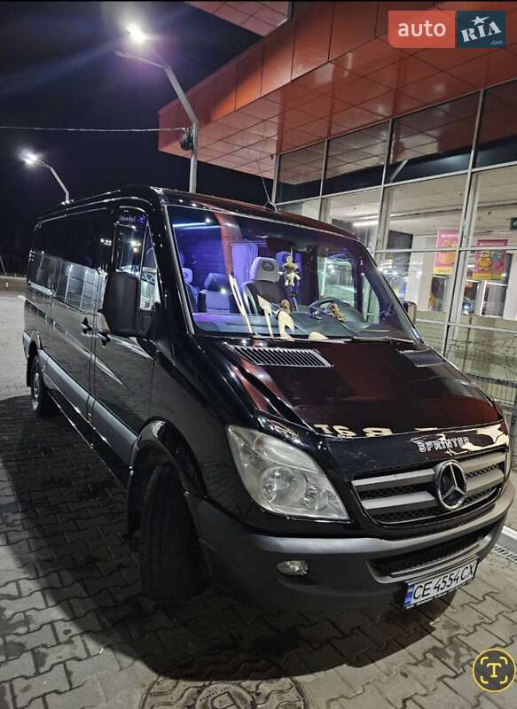 Микроавтобус Mercedes-Benz Sprinter 2008 в 