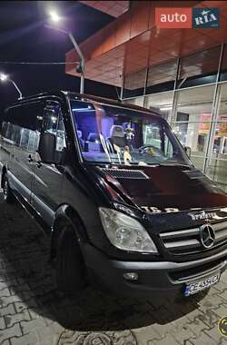Микроавтобус Mercedes-Benz Sprinter 2008 в 