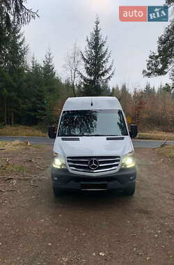 Микроавтобус Mercedes-Benz Sprinter 2014 в 