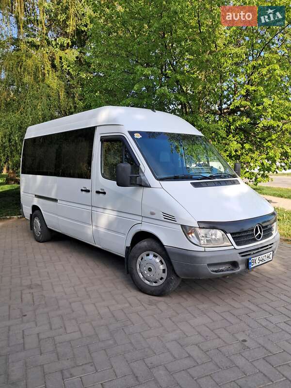 Мінівен Mercedes-Benz Sprinter 2003 в 