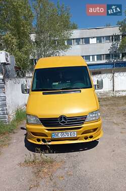 Мікроавтобус Mercedes-Benz Sprinter 2001 в Миколаєві