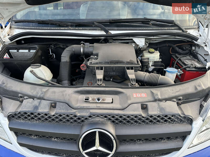 Туристичний / Міжміський автобус Mercedes-Benz Sprinter 2010 в Корсунь-Шевченківському