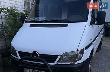 Микроавтобус Mercedes-Benz Sprinter 2005 в 