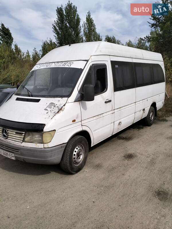 Микроавтобус Mercedes-Benz Sprinter 2000 в 