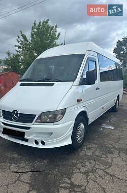Микроавтобус Mercedes-Benz Sprinter 2001 в Николаеве