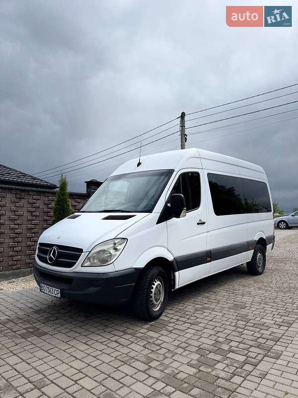 Mercedes-Benz Sprinter 2009