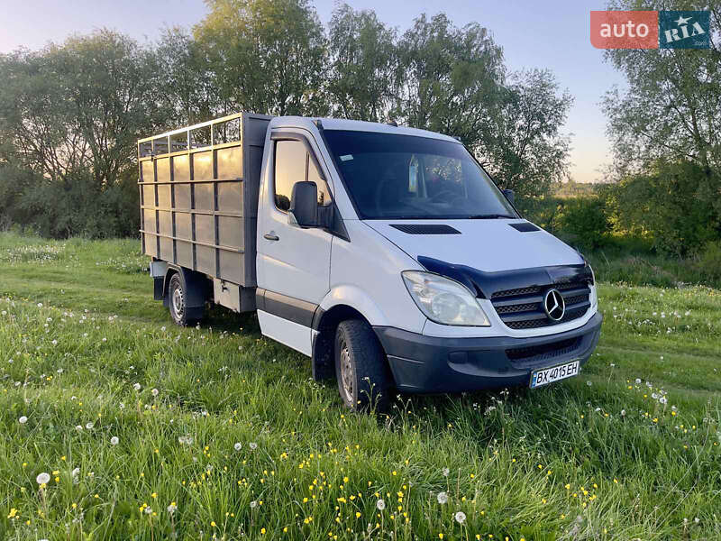 Для перевезення тварин Mercedes-Benz Sprinter 2006 в Хмельницькому