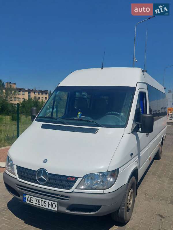 Другие автобусы Mercedes-Benz Sprinter 2006 в Кривом Роге