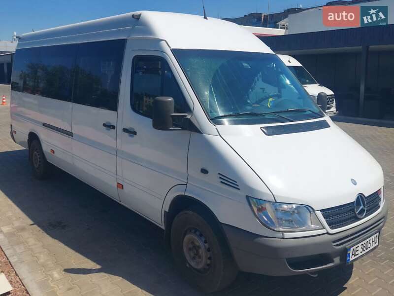 Другие автобусы Mercedes-Benz Sprinter 2006 в Кривом Роге