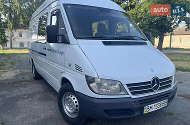 Мікроавтобус Mercedes-Benz Sprinter 2006 в Путивлі