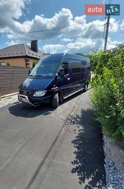 Грузопассажирский фургон Mercedes-Benz Sprinter 2003 в 