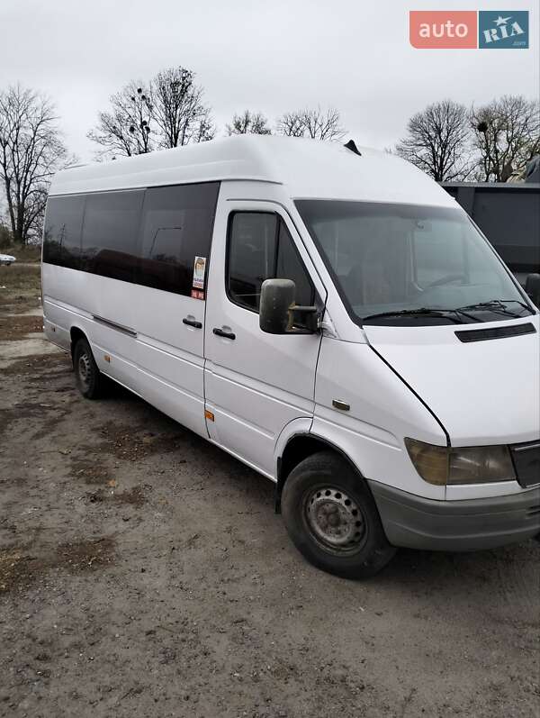 Микроавтобус Mercedes-Benz Sprinter 2000 в 