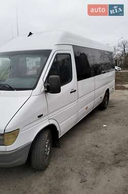 Микроавтобус Mercedes-Benz Sprinter 2000 в 