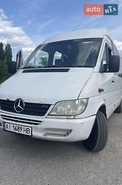 Микроавтобус Mercedes-Benz Sprinter 2000 в 