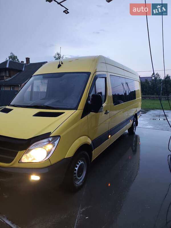 Микроавтобус Mercedes-Benz Sprinter 2011 в Долине
