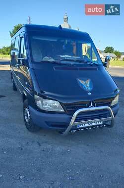 Мікроавтобус Mercedes-Benz Sprinter 2004 в Івано-Франківську