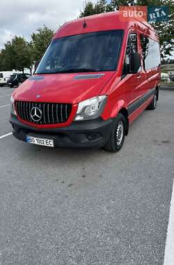 Вантажопасажирський фургон Mercedes-Benz Sprinter 2014 в 